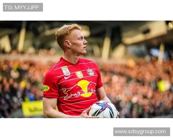 德甲球队大手笔引援,阵容再添砝码