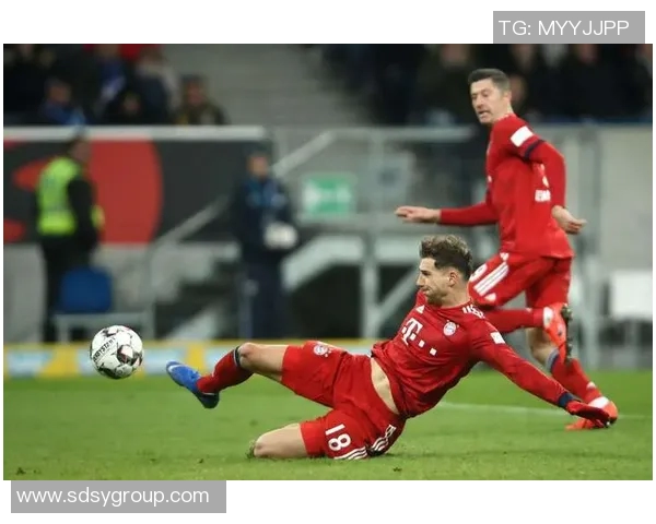 霍芬海姆主场豪取胜利，击败勒沃库森