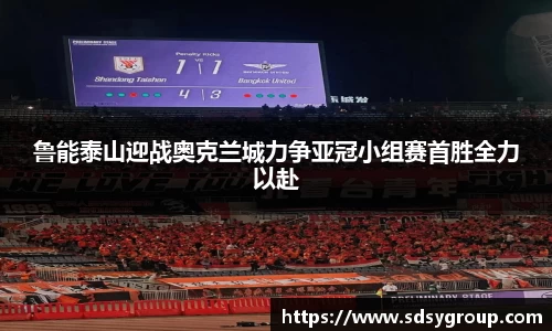 VSport在线登录